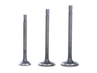 valvulass (main image)